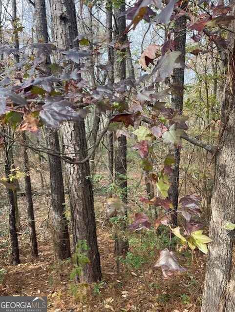 0 Old Bill Cook Rd, South Fulton, GA 30349