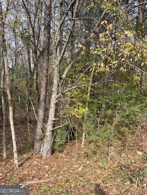0 Old Bill Cook Rd, South Fulton, GA 30349