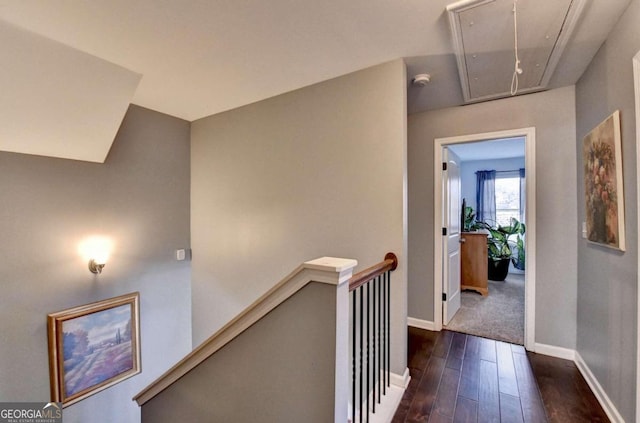 hallway featuring dark hardwood / wood-style flooring