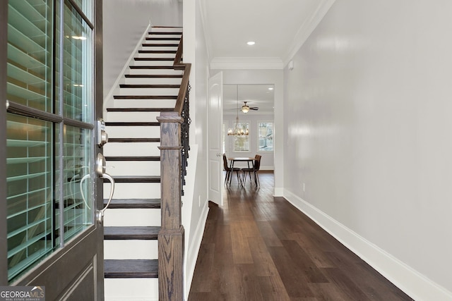 entrance foyer with ceiling fan with notable chandelier, crown molding, and dark wood-type flooring