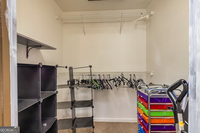 spacious closet with carpet floors