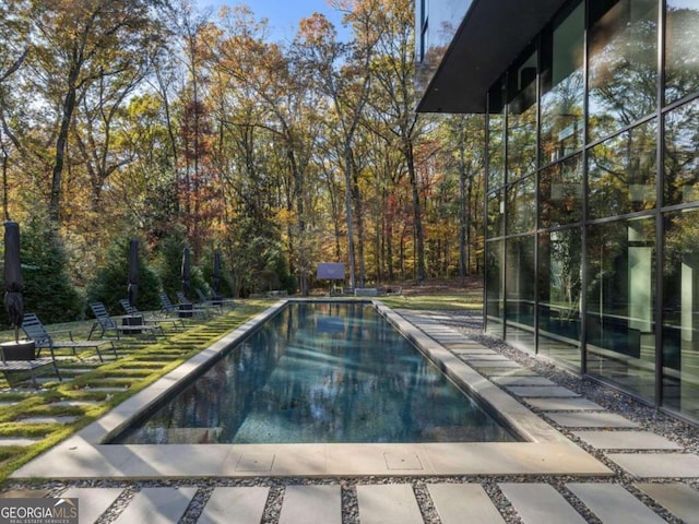 view of pool featuring a patio