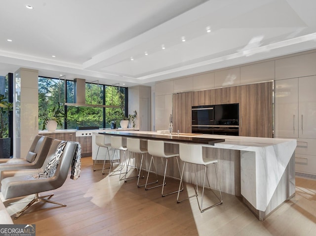 kitchen featuring a large island with sink, light hardwood / wood-style floors, and a raised ceiling