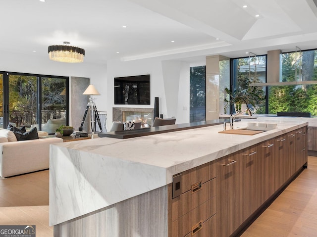 kitchen featuring light hardwood / wood-style floors, a spacious island, and sink