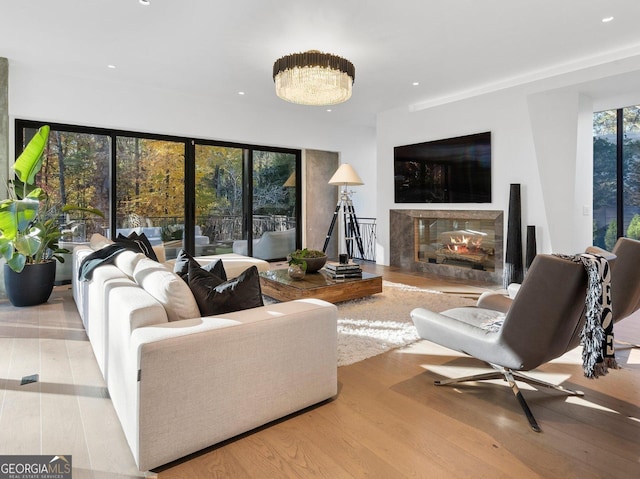 living room featuring light hardwood / wood-style flooring and a premium fireplace