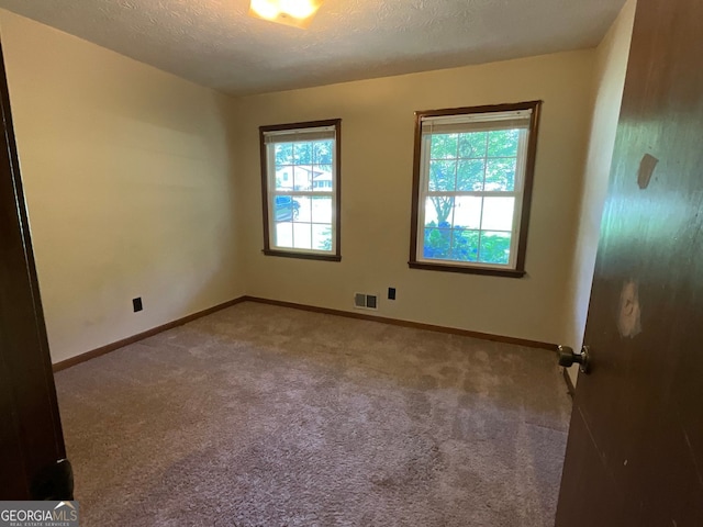 empty room featuring a textured ceiling, a wealth of natural light, and carpet flooring