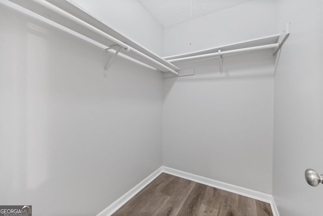 spacious closet featuring dark wood-type flooring