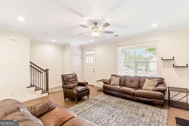 living room featuring ceiling fan, light wood-type flooring, and crown molding