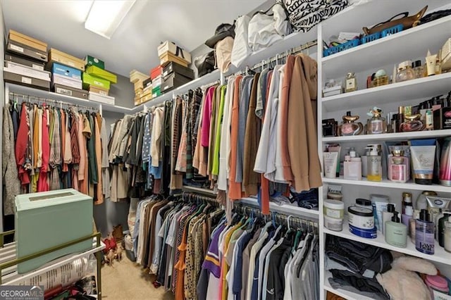 walk in closet with carpet floors