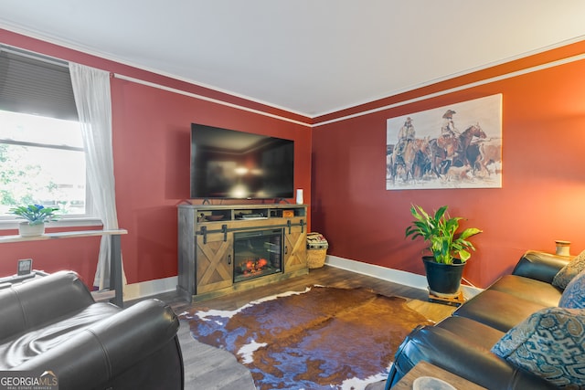 living room featuring dark hardwood / wood-style flooring and ornamental molding