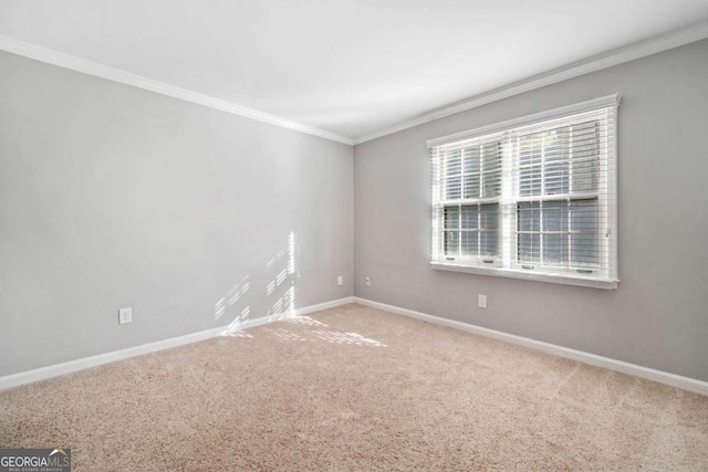 spare room featuring carpet floors and ornamental molding