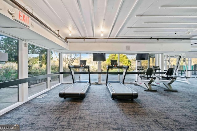 gym with carpet flooring and a wealth of natural light