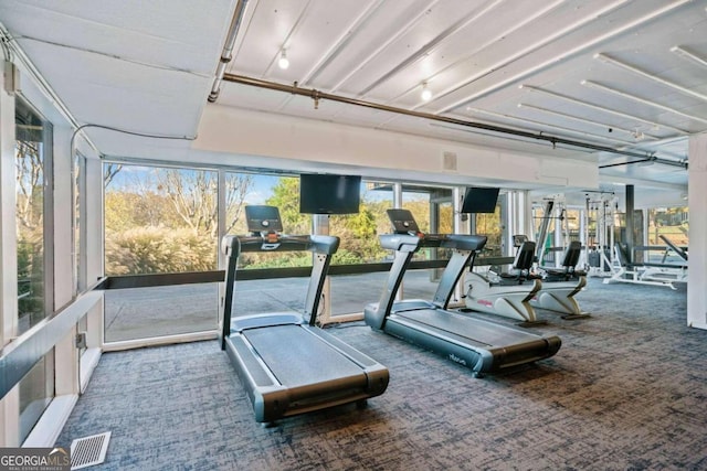 exercise room with carpet