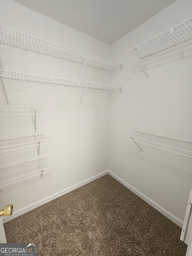 walk in closet with carpet