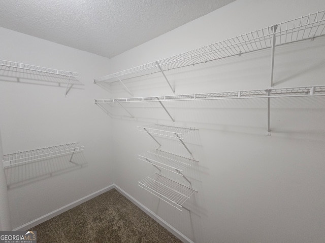 spacious closet with carpet flooring