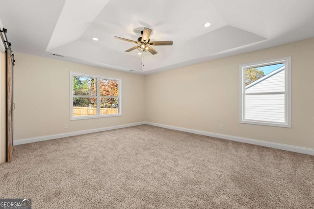 spare room featuring a tray ceiling, carpet, and a healthy amount of sunlight