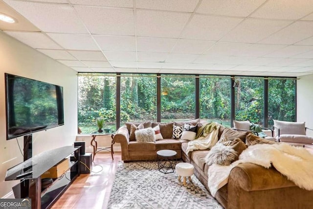 living room with a drop ceiling and hardwood / wood-style flooring