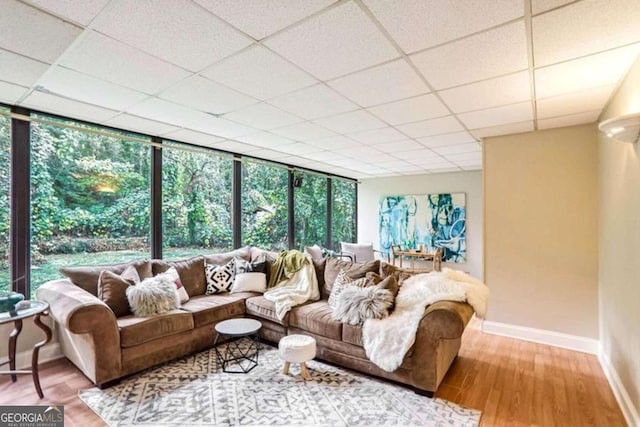 living room featuring wood-type flooring and a paneled ceiling