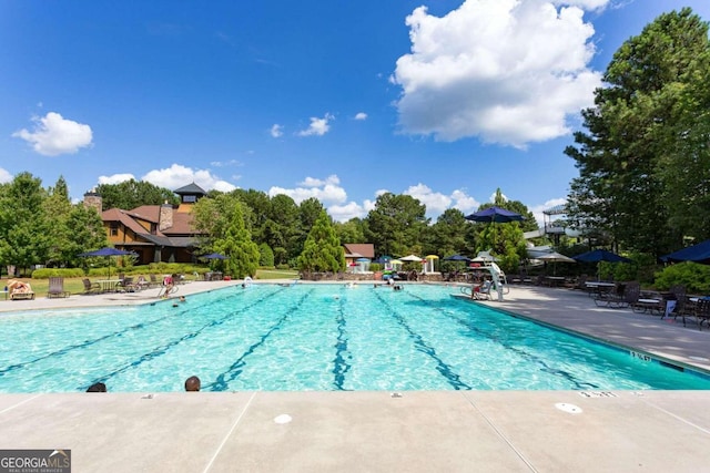 view of pool with a patio