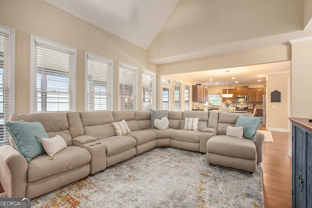 living room featuring hardwood / wood-style flooring, plenty of natural light, and vaulted ceiling