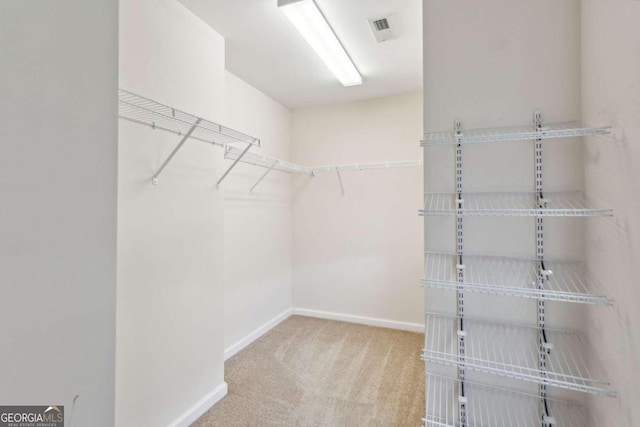 spacious closet with carpet