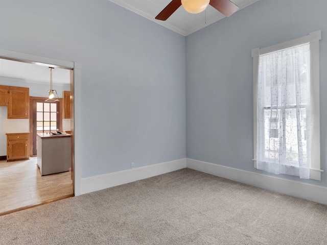 empty room with ceiling fan, crown molding, and light carpet