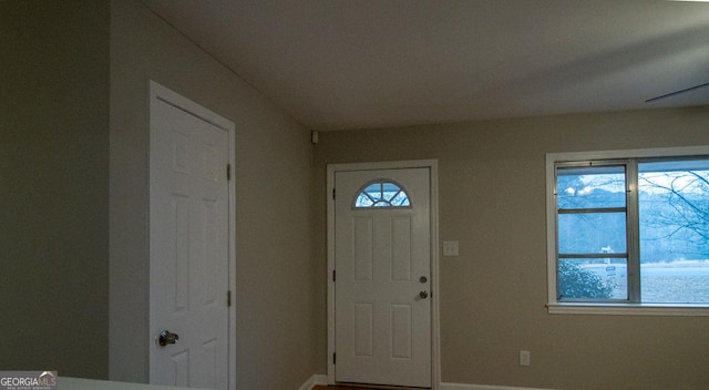 foyer entrance featuring wood-type flooring