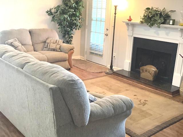 living room featuring hardwood / wood-style floors