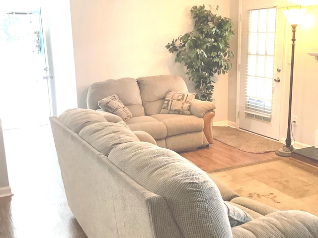 living room featuring wood-type flooring