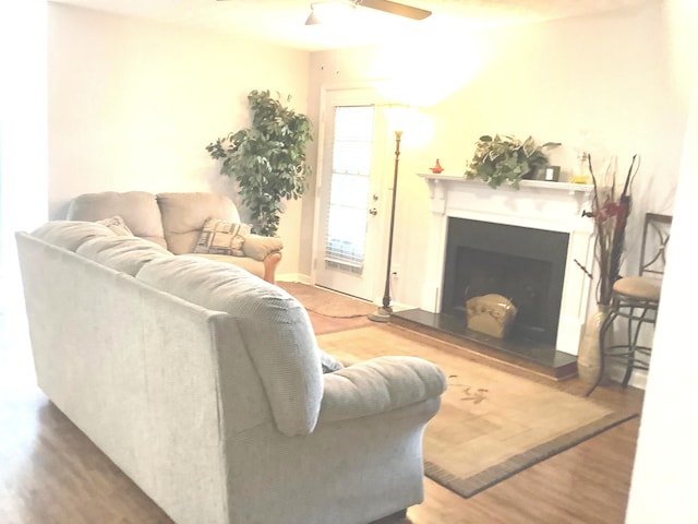 living room featuring hardwood / wood-style floors