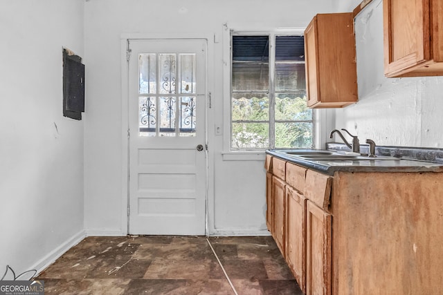 entryway featuring electric panel, sink, and a healthy amount of sunlight