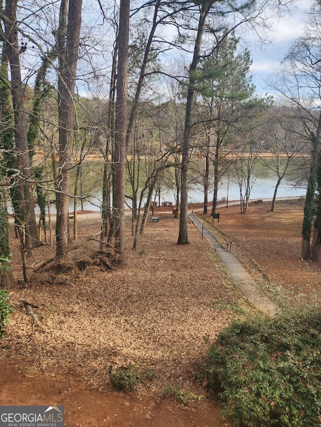 view of yard with a water view