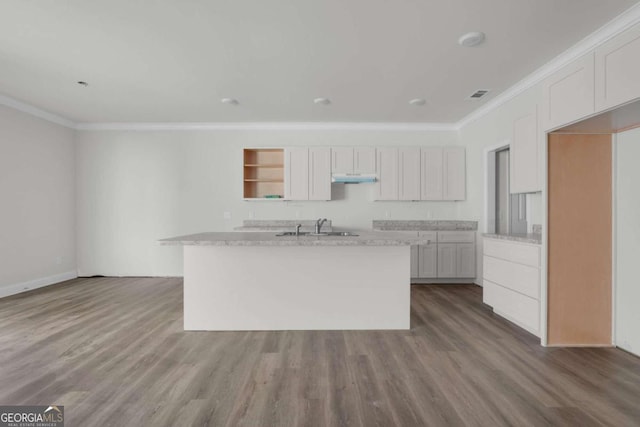 2005 Washington St, Savannah, GA 31406 - kitchen featuring crown molding, a sink, white cabinetry, and wood finished floors