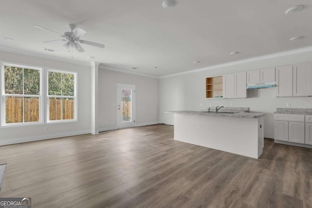 2005 Washington St, Savannah, GA 31406 - kitchen featuring under cabinet range hood, ornamental molding, wood finished floors, a ceiling fan, and open floor plan