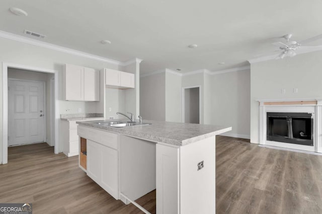 2005 Washington St, Savannah, GA 31406 - kitchen with a sink, crown molding, light wood-type flooring, a glass covered fireplace, and open floor plan