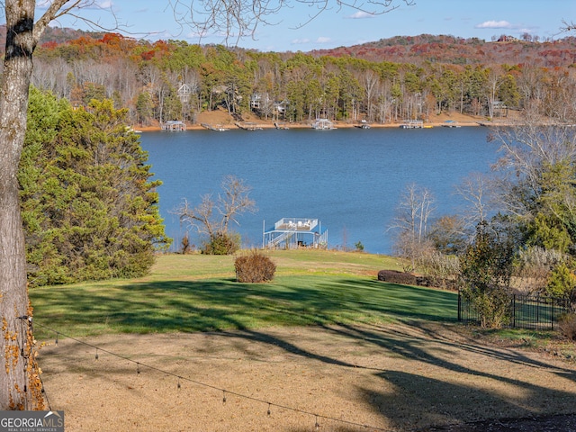 water view featuring a mountain view