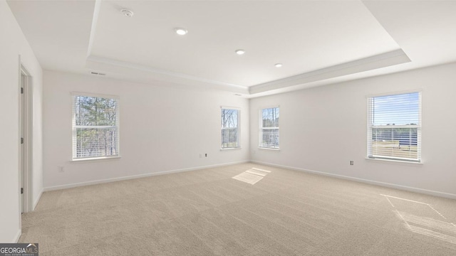 unfurnished room featuring a tray ceiling, light carpet, and a wealth of natural light