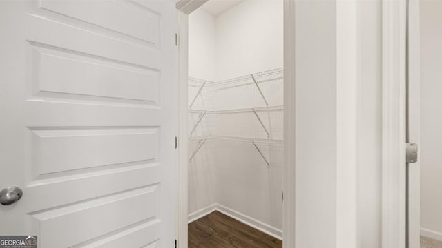 walk in closet featuring dark wood-type flooring