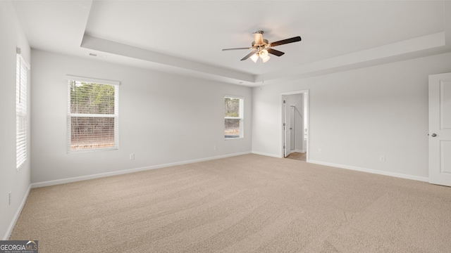 spare room with a raised ceiling, light carpet, and a healthy amount of sunlight