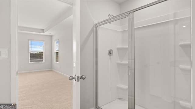 bathroom featuring a shower with shower door