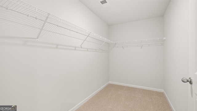 walk in closet with carpet floors