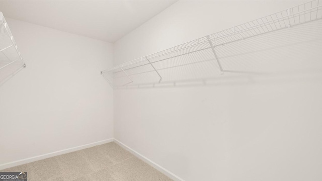 walk in closet featuring light carpet