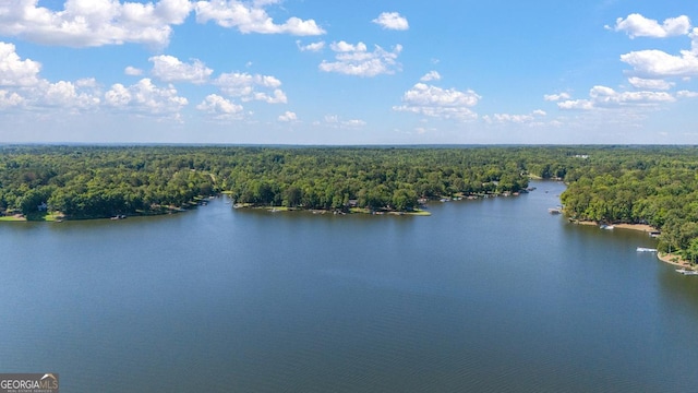 aerial view with a forest view and a water view