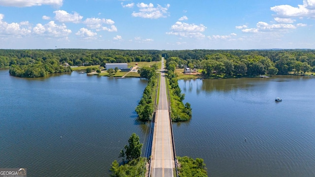 bird's eye view with a view of trees and a water view