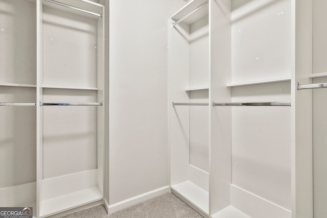 walk in closet with carpet