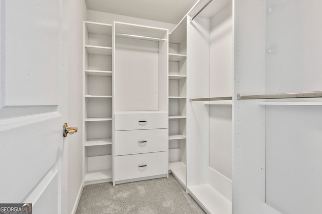 walk in closet featuring light carpet