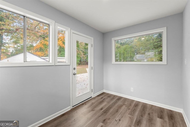 doorway featuring wood-type flooring