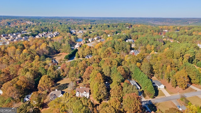 bird's eye view