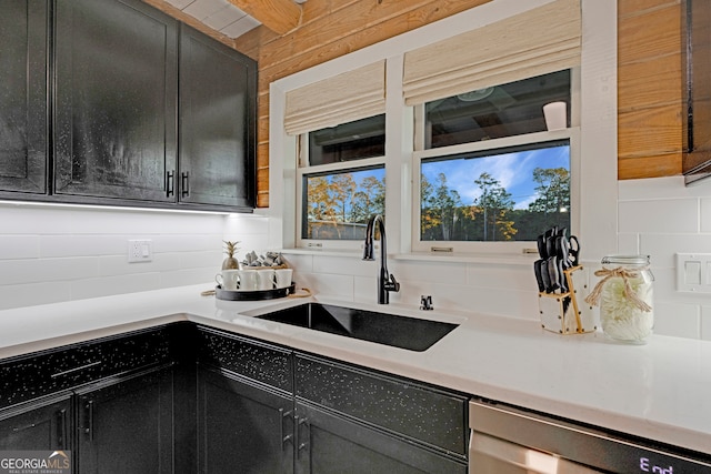 kitchen featuring decorative backsplash, sink, and stainless steel dishwasher