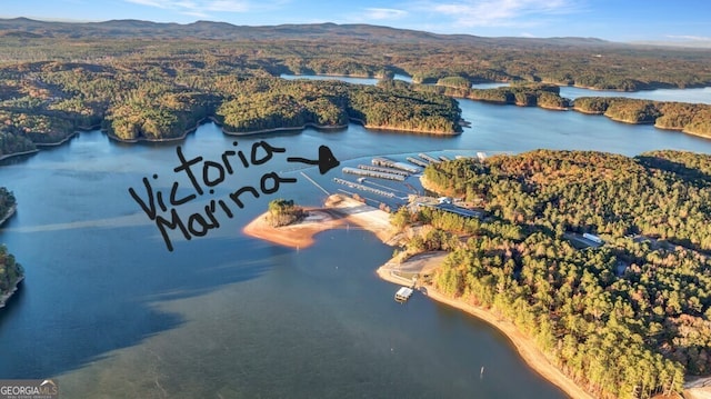 birds eye view of property featuring a water and mountain view